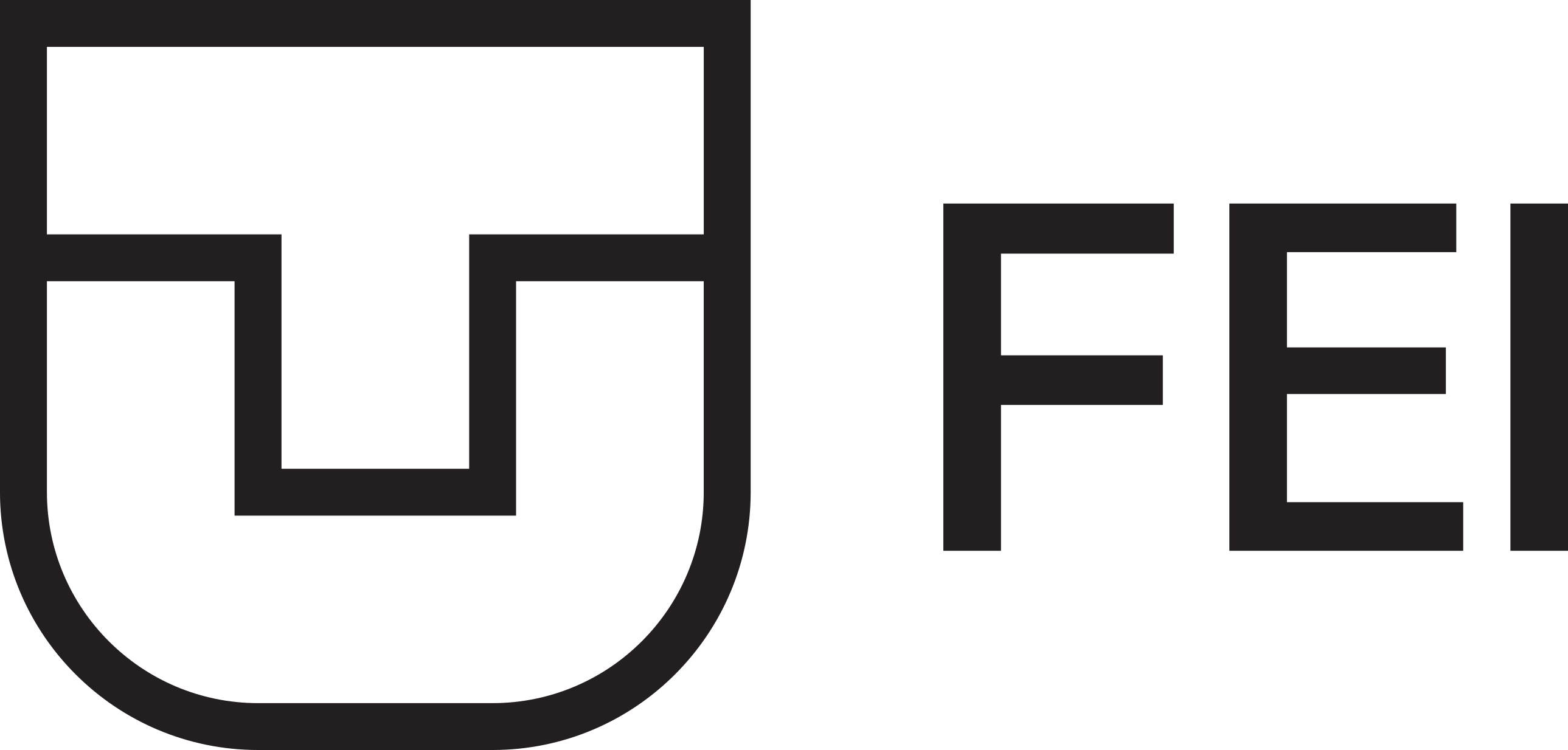 Logo FEI